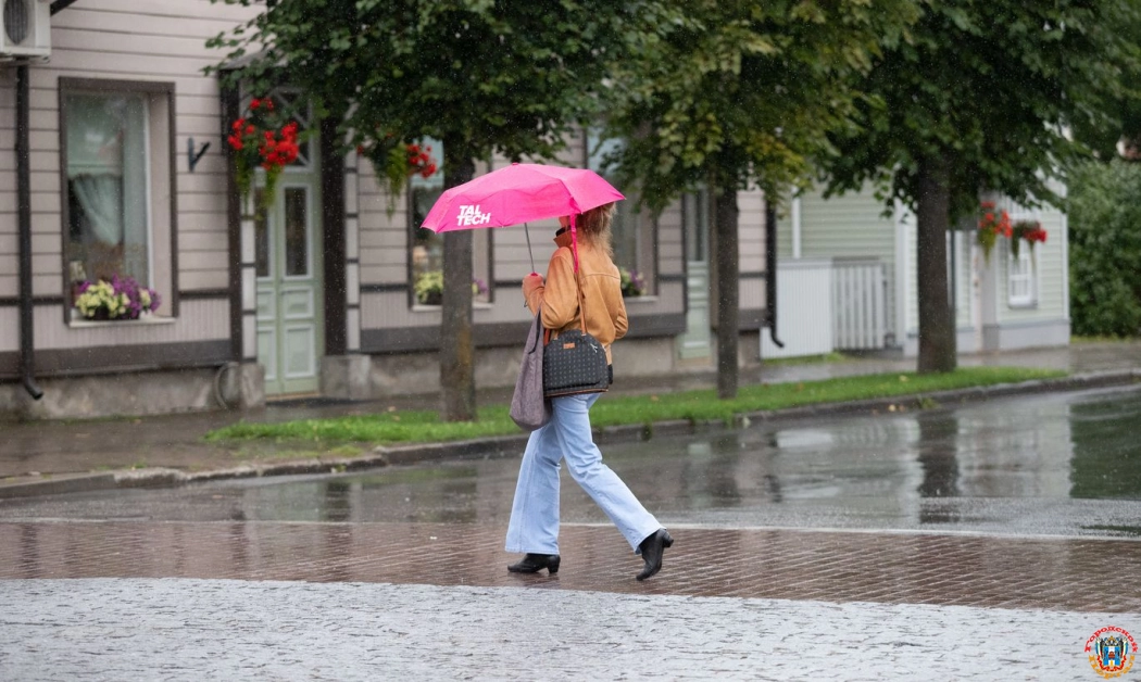 В Ростове ожидается небольшой дождь и пасмурная погода 15 мая