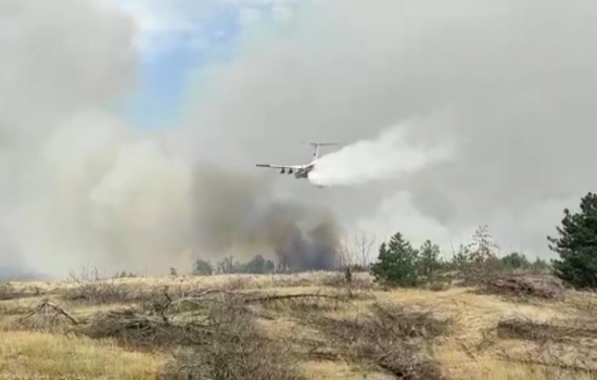 «Россети» опровергли слова губернатора Голубева о причинах крупного лесного пожара