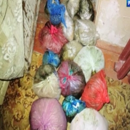Жителю города Гуково грозит срок за хранение 14 кг наркотиков