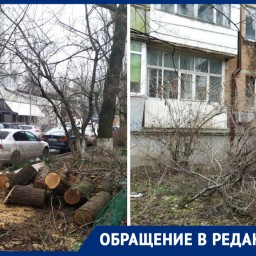 «Секретное» распоряжение: в Ростове под видом благоустройства снова спилили деревья