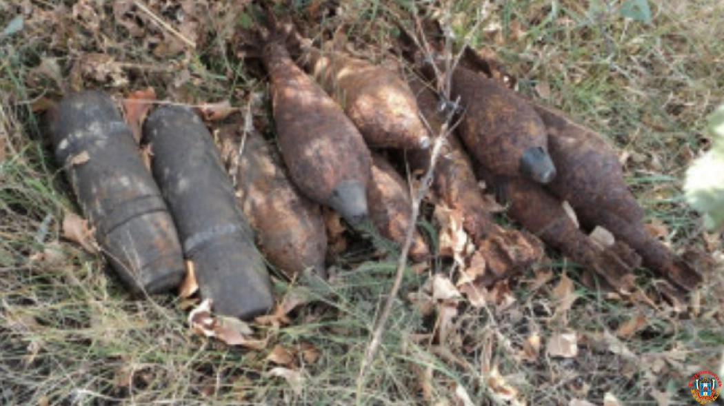 В Ростовской области нашли 36 боеприпасов в 2023 году