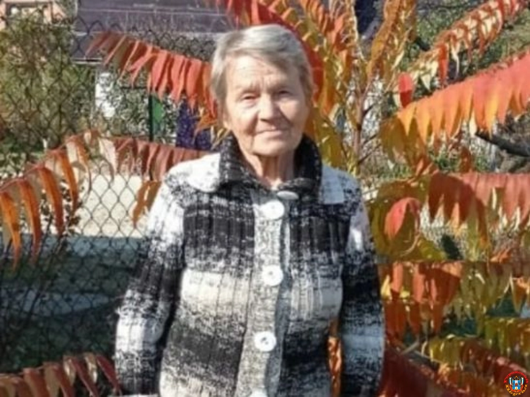 В Таганроге 76-летняя бабушка вышла погулять с собаками и пропала без вести