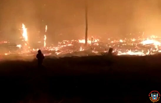 Крупный пожар в Каменском лесничестве тушат уже больше 16 часов