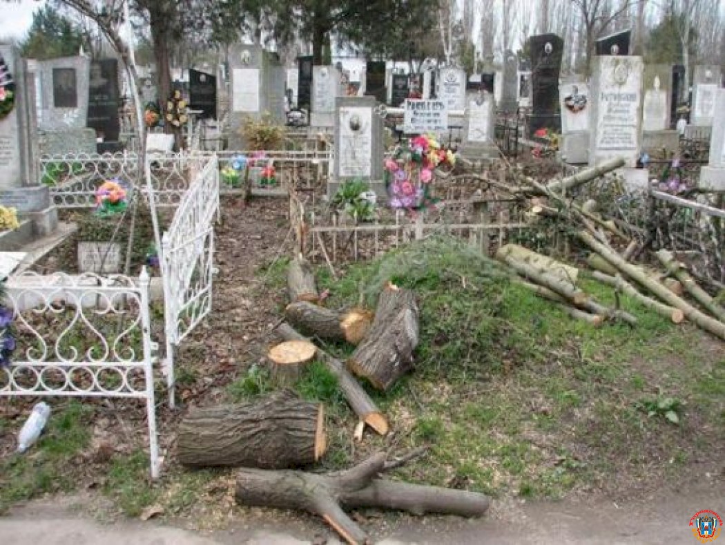 К Новому году на двух кладбищах Ростова спилят аварийные деревья