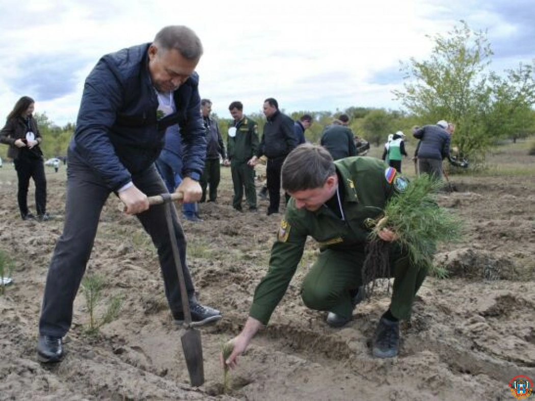 На Дону в рамках Дня древонасаждений высадили 300 тысяч деревьев и кустарников