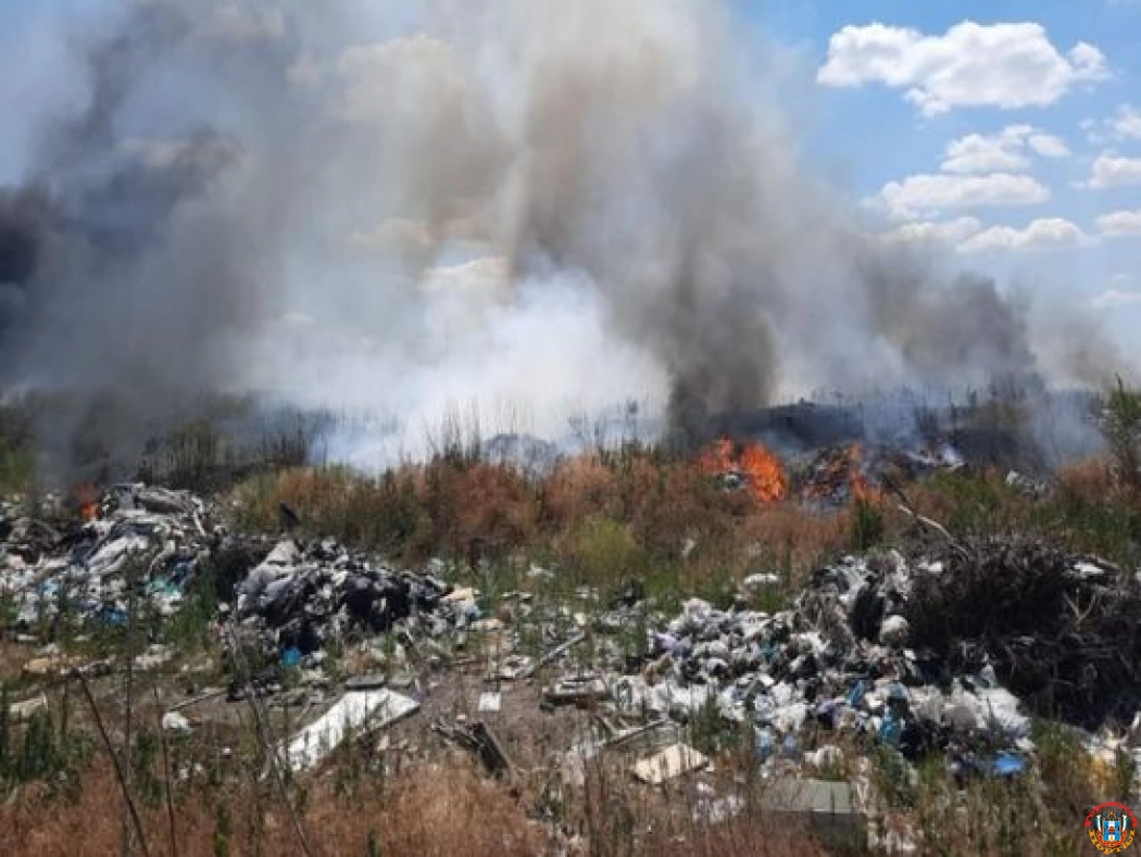 В Донецке на большой площади горит мусорный полигон