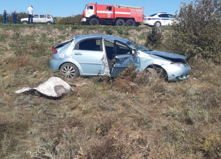 Водитель Chevrolet погибла в аварии в Ростовской области из-за залетевшей в окно осы