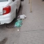 Улица в центре Ростова оказалась завалена бытовым мусором 0
