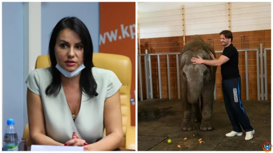 Власти Ростова рассказали, можно&nbsp;ли вернуть слониху из&nbsp;московского цирка