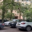 Жители Ростова больше недели просят спилить аварийный тополь на Содружества 0