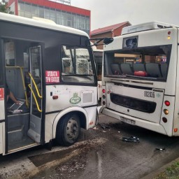 В Ростове столкнулись два автобуса, пострадали пять человек