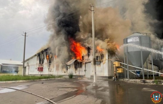 На птицефабрике в Каменском районе произошел крупный пожар