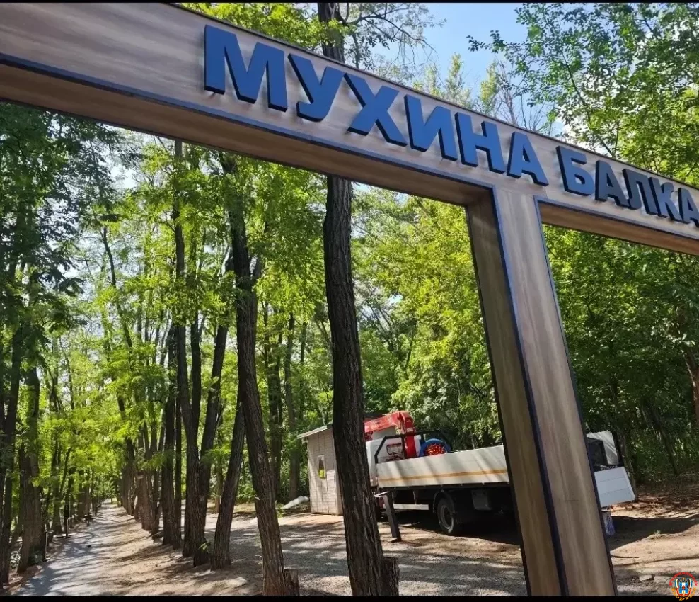 Опасная зона: в Аксае запретили прогулки в Мухиной балке из‑за поваленных деревьев Опасная зона: в Аксае запретили прогулки в Мухиной балке из‑за поваленных деревьев