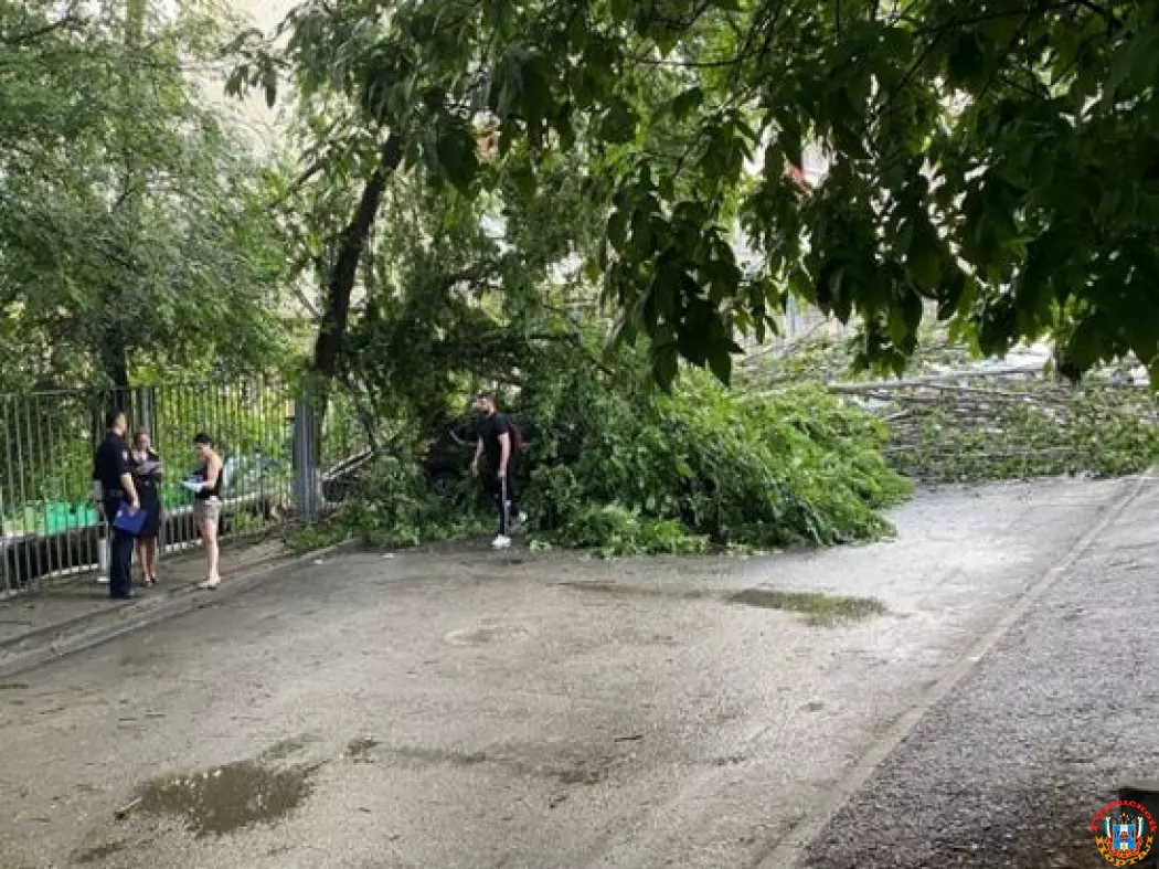 В Ростове упавшее дерево снесло забор детсада и повредило два автомобиля