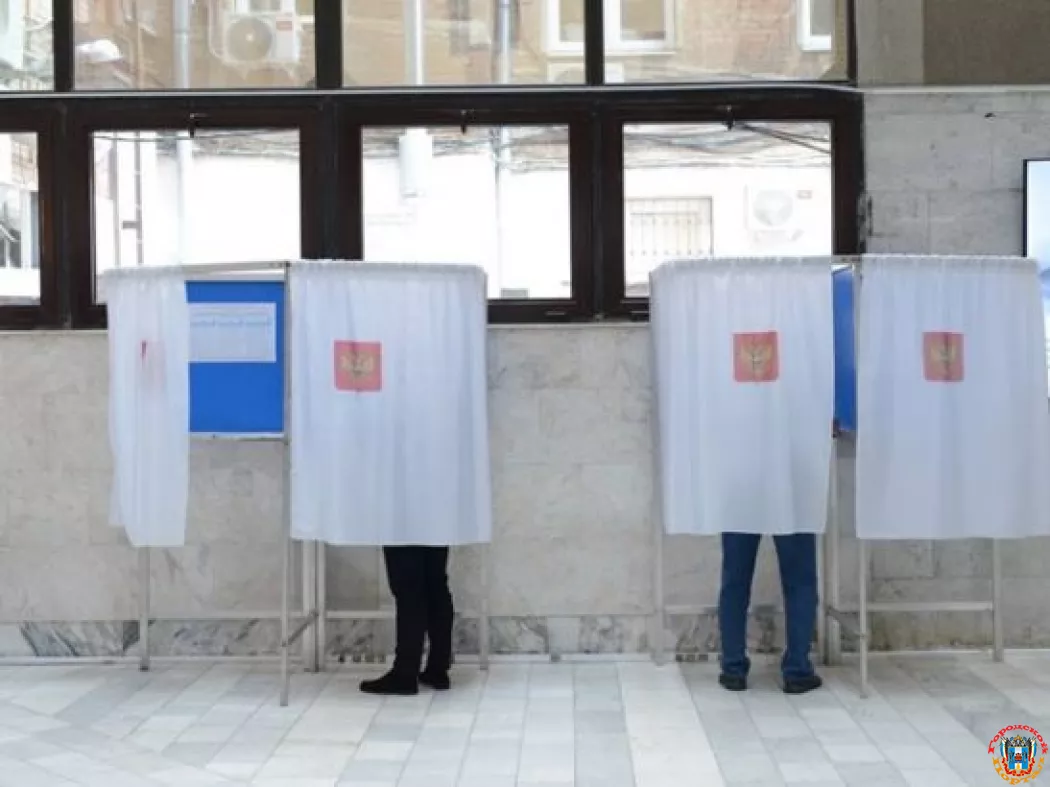 В Ростовской области явка выборов в ЗС составила более 29%