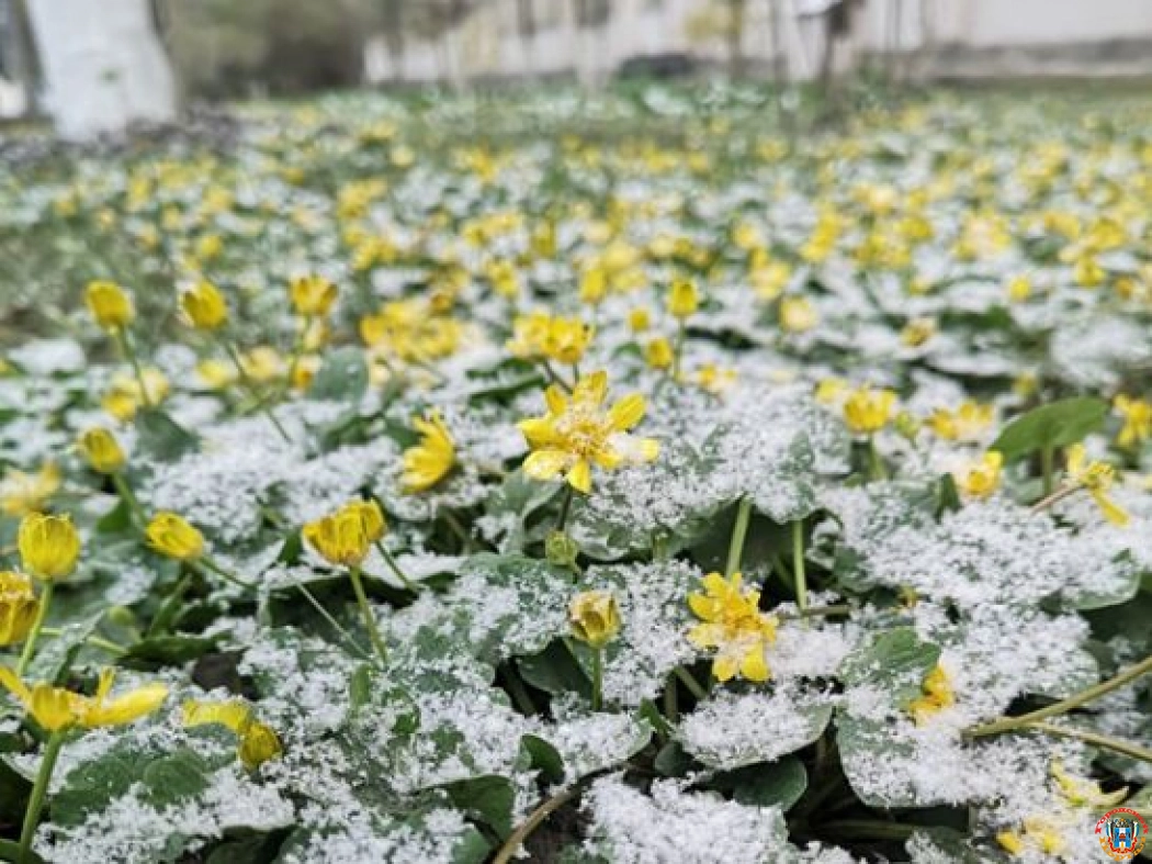 Жителей Ростовской области предупредили о заморозках и усилении ветра