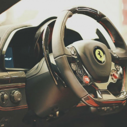 Стало известно, кто будет возить на иномарках ростовских депутатов