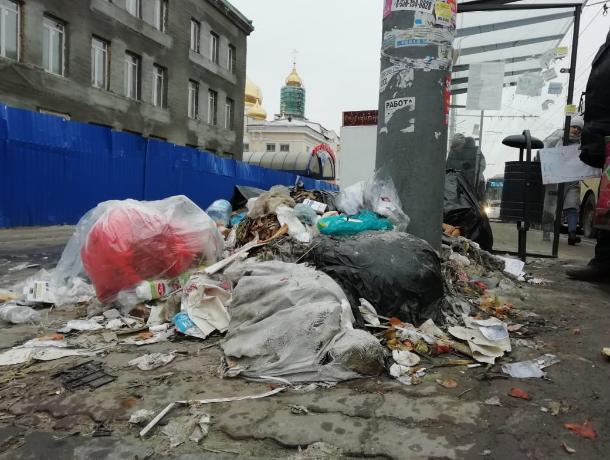 Ростов-на-Дону примет участие во всероссийской акции против "мусорной" реформы