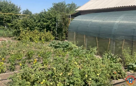 Как подготовить плодовые культуры к холодам