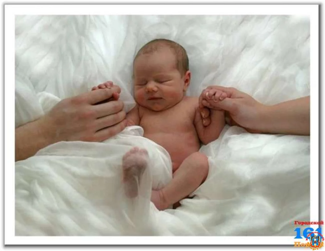 Мой долгожданный Свет