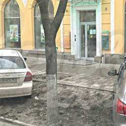 Наглые автовладельцы "по-свински" оставили машины на газоне в центре Ростова