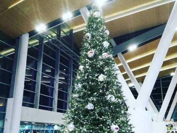 Шарами с мировыми флагами украсили новогоднюю елку в аэропорту Ростова-на-Дону