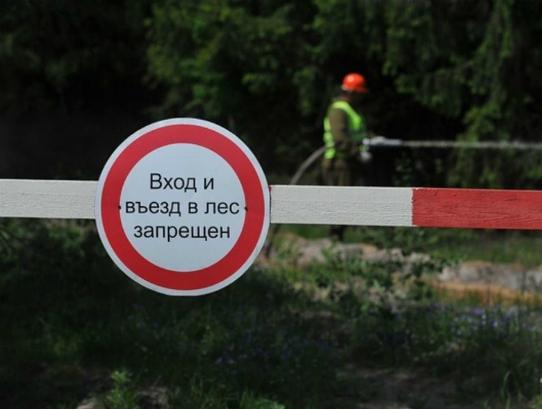 Жителям Ростовской области запретили ходить и ездить в лес до начала октября