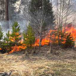 Пожароопасность 4-го и 5-го классов сохраняется в Ростовской области