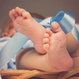 За лето в Ростовской области родились более 11 тысяч человек