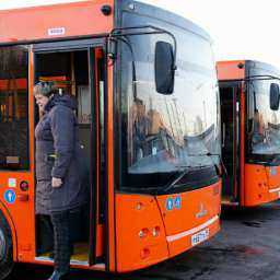 Новые низкопольные автобусы прибудут в Ростов уже к 15 декабря