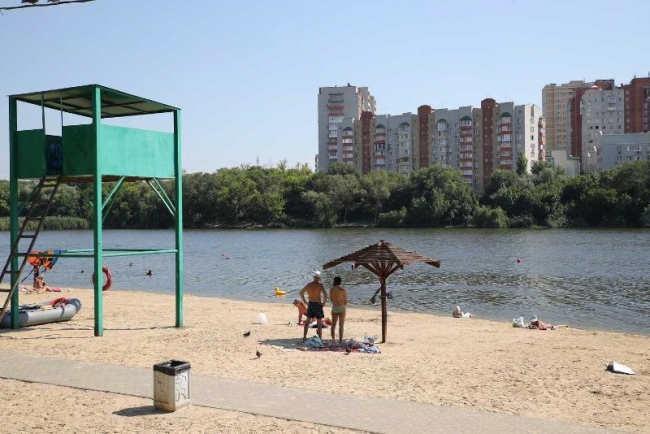 Власти Ростова хотят привлечь инвестора для реконструкции парка «Дружба»