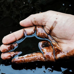 Загрязняли атмосферу по ночам: на донском предприятии незаконно перерабатывали нефть