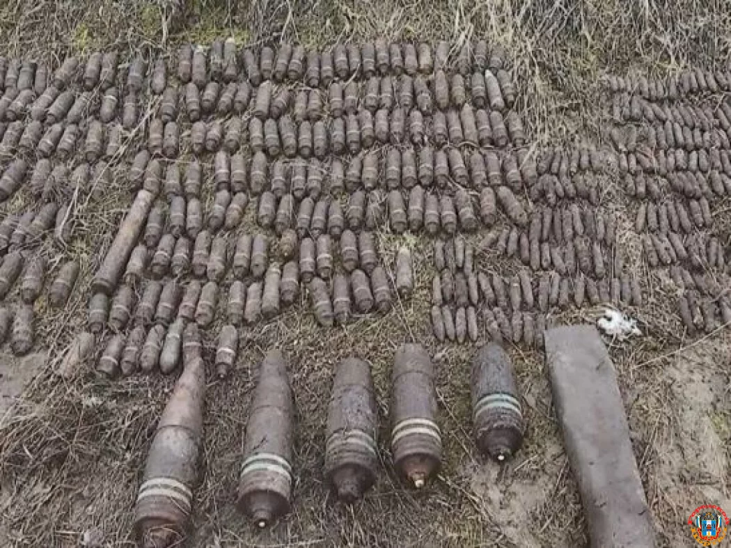80 боеприпасов с начала года обнаружили в Ростовской области