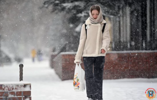 9 февраля Ростовскую область накроет снегопадом