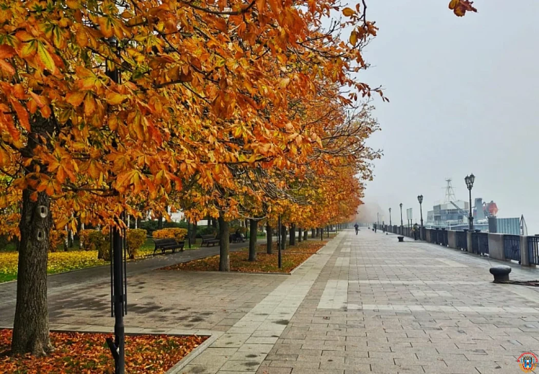 Прохладную и пасмурную погоду синоптики обещают в Ростове в понедельник 24 ноября