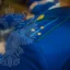Прокуратура следит за защитой прав жителей Таганрога, пострадавших при воздушной атаке