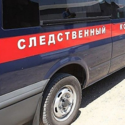 Telegram-канал: в Ростовской области школьники насмерть забили мужчину ради забавы