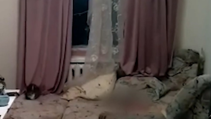 СКР показал видео с места убийства ребенка в Костроме СКР показал видео с места убийства ребенка в Костроме