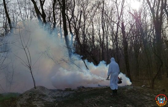 Еще два человека на Дону заболели боррелиозом после укуса клеща