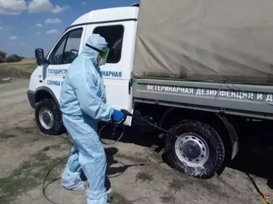 В Ростовской области ещё в одном районе сняли карантин по бешенству