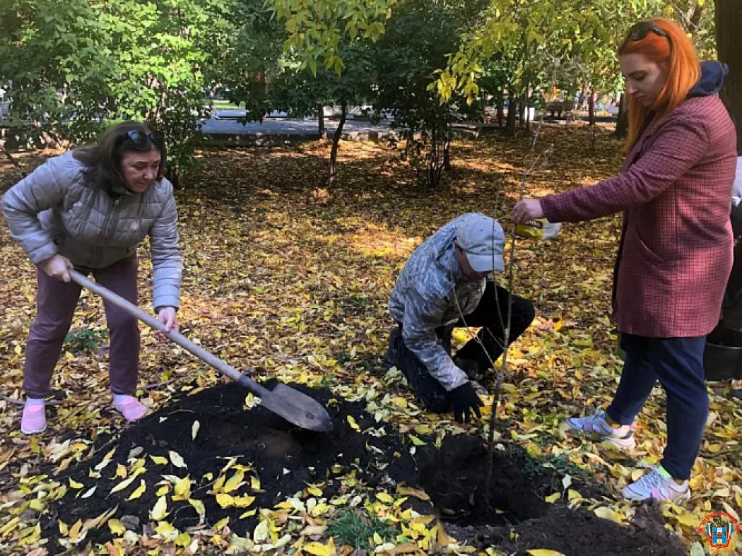 В парках Ростова и зоопарке 21 октября высадят 300 деревьев