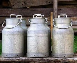 В Боковском районе обнаружили 800 литров «ничейного» молока