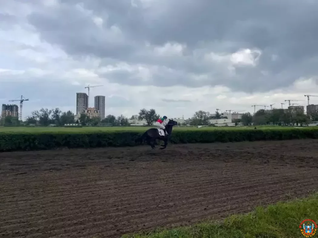 Что происходит на ростовском ипподроме после новости о закрытии