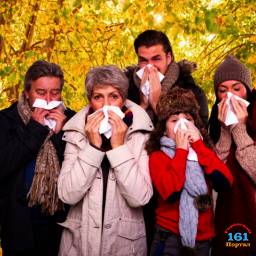 Профилактика осенних простудных заболеваний