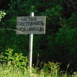 Главный донской следователь рассказал, как сельские чиновники в Ростовской области воруют землю у государства