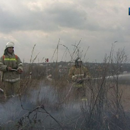 МЧС: пожар на 1-ой Луговой в Ростове полностью ликвидировали