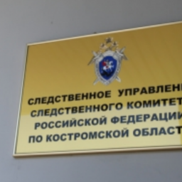 В Костромской области экс-помощник депутата обвиняется в педофилии