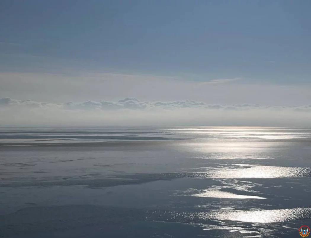 Экологический кризис Азовского моря: запасы рыбы упали до исторического минимума