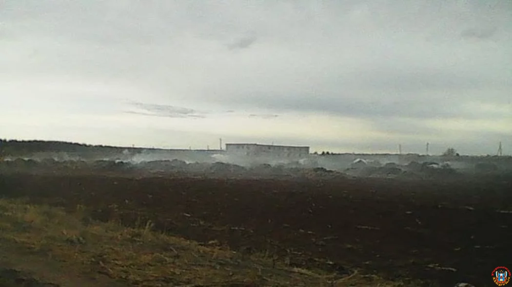 Пермские школьницы сожгли ферму ради лайков в соцсети