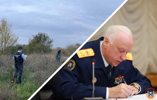 Расследование убийства девочки в Ростовской области взял на контроль председатель СК Бастрыкин
